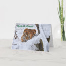 Search for wildlife photography cards Cute