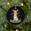 Search for pointer dog christmas tree decorations Santa