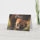 Search for horse memorial poem Pony