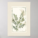 Search for fern leaves posters Leaf