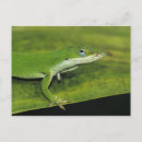 Search for backyard horizontal postcards Wood