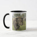 Search for asiatic elephant mugs Indian