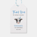 Search for thank moo Farm animal