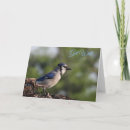 Search for jay cards Trees