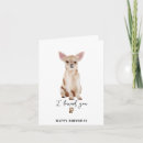 Search for i love chihuahuas cards Puppy