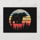 Search for grizzly bear postcards Camping