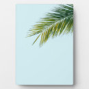 Search for leaf plaques Palm tree
