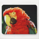 Search for macaw parrot mouse mats Bird