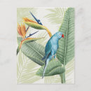 Search for foilage postcards Flower
