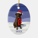 Search for chocolate brown christmas tree decorations Pets