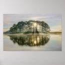 Search for sunrays posters Forest
