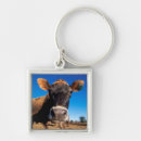 Search for jersey key rings Animal