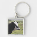 Search for cow square key rings Rural scene