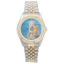 Search for lab watches Retriever