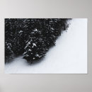 Search for black and white forest posters Nature