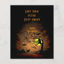 Search for owls flyers Pumpkin