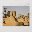 Search for dave postcards Middle east