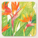 Search for bird coasters Tropical