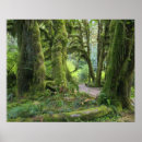 Search for footpath posters Tree