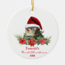 Search for iguana christmas tree decorations Lizard