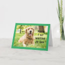Search for golden retriever birthday cards Friend