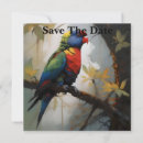 Search for lorikeet Rainbow