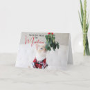 Search for cat lover christmas cards Crazy cat lady