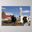 Search for silo posters Wisconsin