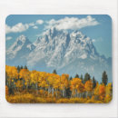 Search for aspen mountain electronics Fall