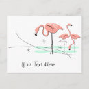 Search for vintage kitsch postcards 1950s