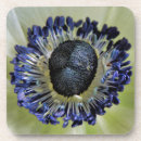 Search for anemones barware Floral