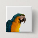 Search for notes square badges Colourful
