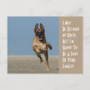 Search for pup horizontal postcards Animal