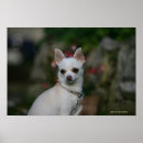 Search for pam posters White