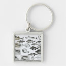 Search for zoology key rings Species