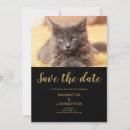 Search for cat wedding save the dates Pet