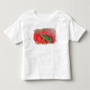 Search for tree frog tshirts Washington