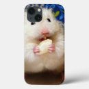 Search for indoors cases Photography
