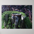 Search for tree stump posters Photography