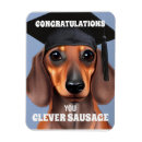Search for clever magnets Cute