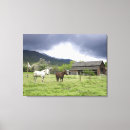 Search for outdoor canvas prints Nature