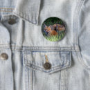 Search for kit badges Young animal