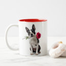 Search for boston terrier valentine Rose