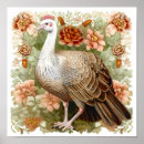 Search for turkeys art Wild turkey