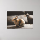 Search for rabbit canvas prints Bunny