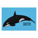 Search for killer whale posters Orcinus orca