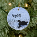 Search for ducks christmas tree decorations Lake