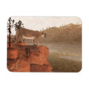 Search for cougar magnets Mountain lion