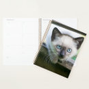 Search for cutest office supplies Young animal