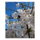 Search for bumblebee posters Insect